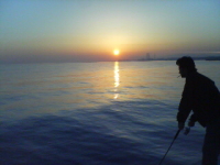 �V���@�ނ�I�s