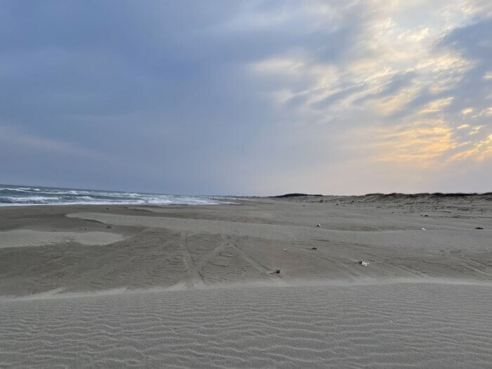 ２０２５年新潟市西区釣