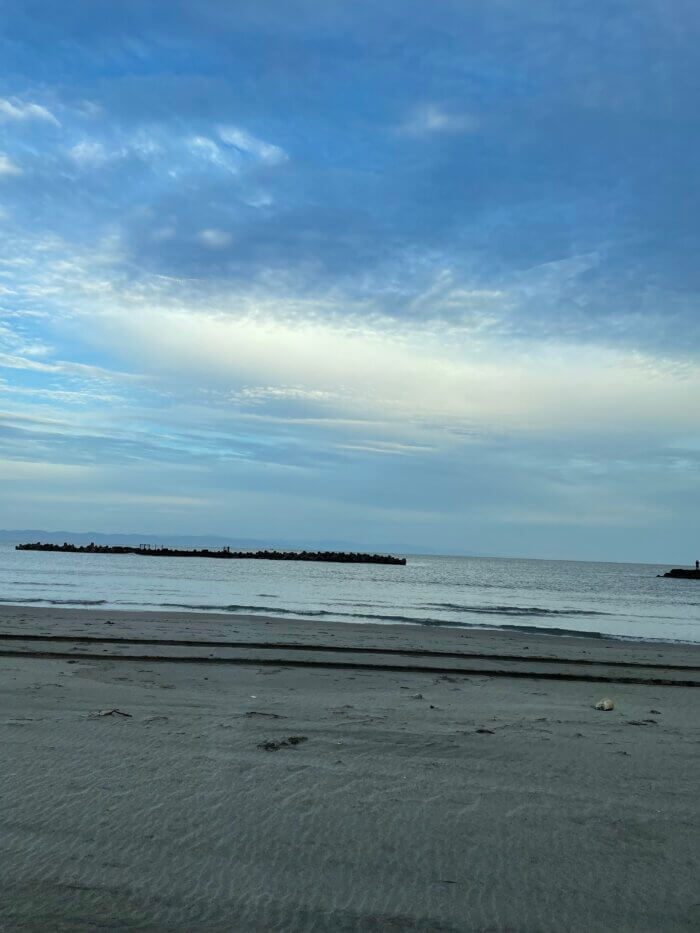 アオリイカを求めて